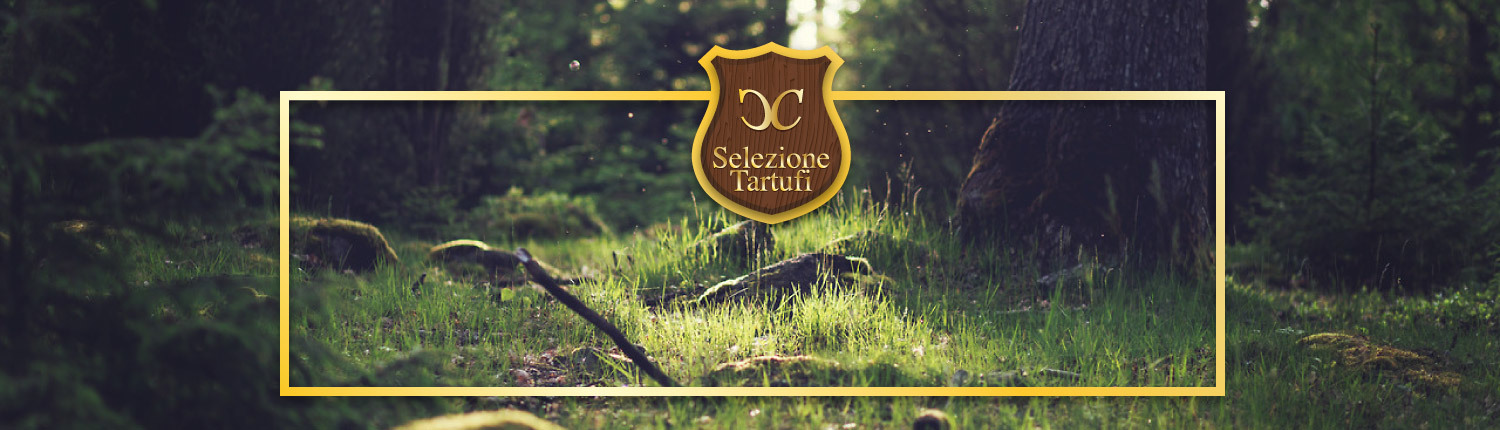 facebook-cover